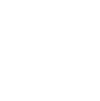 다음